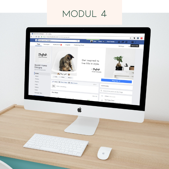 Modul 4